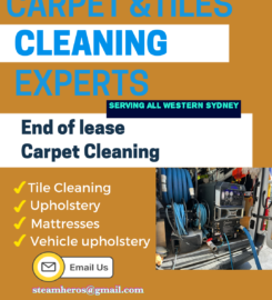 Steam Hero carpet cleaning